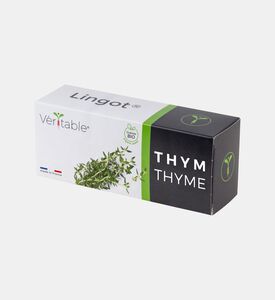 زعتر عضوي من الأعشاب العطرية الأساسية