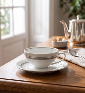Vista Alegre Elegant Tea Saucer Cup Set, Model View