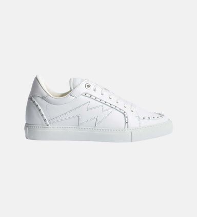 Zv1747 Studded Calf Skin Sneakers