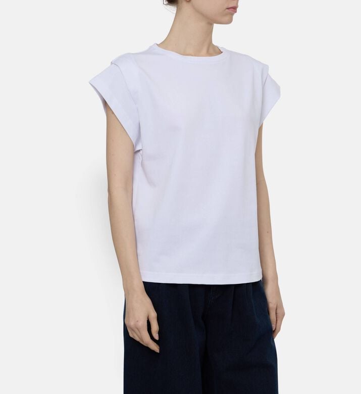 Ba and Sh Ts Pio, Model View