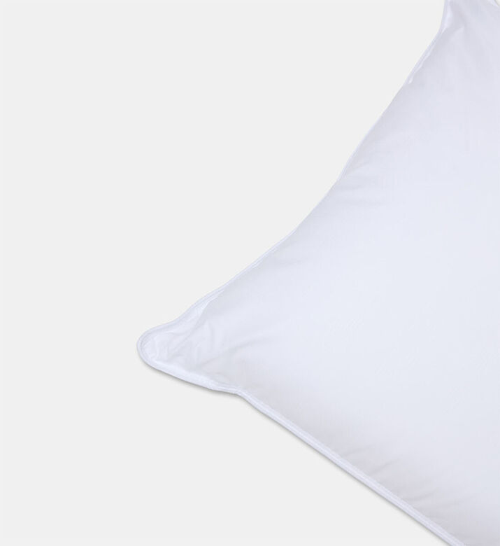 Home Deco and More Ted Soft Touch Pillow S2, Packshot View
