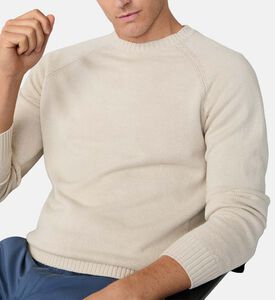 Textured Knit Crewneck Sweater