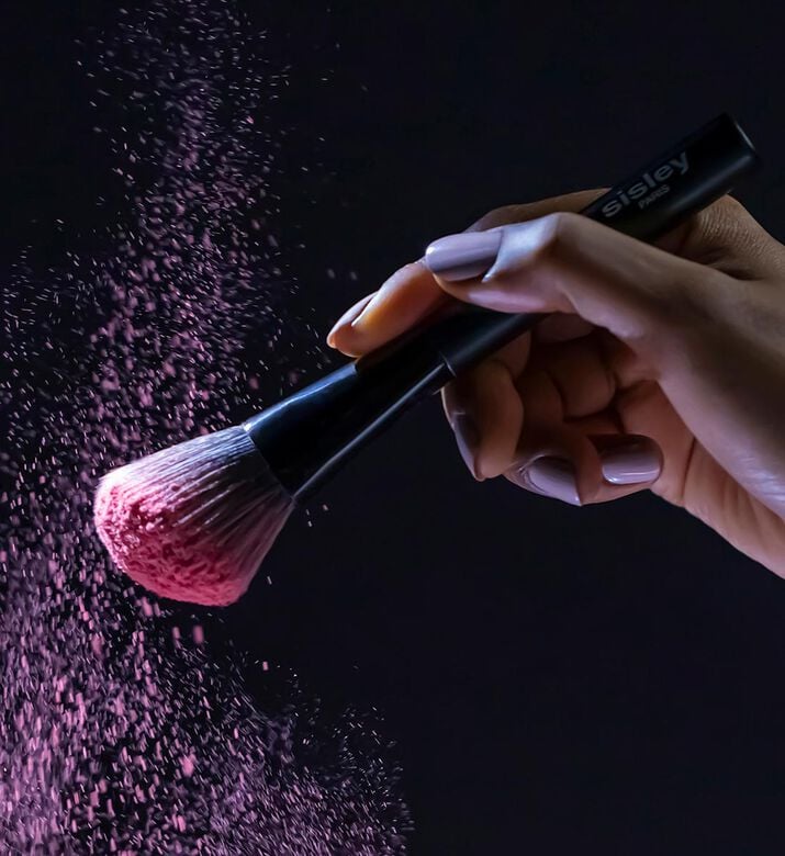 Blush Brush Blush Brush