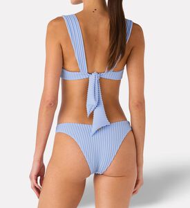 Palmacea Swst Inti Bottom, Model View