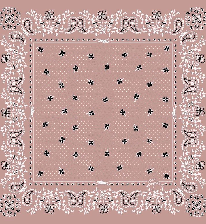 Longchamp Silk Paisley Pattern Scarf, Pink, Packshot View