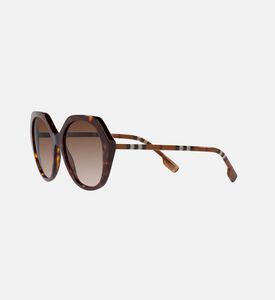 Vanessa Gradient Lens Sunglasses 55