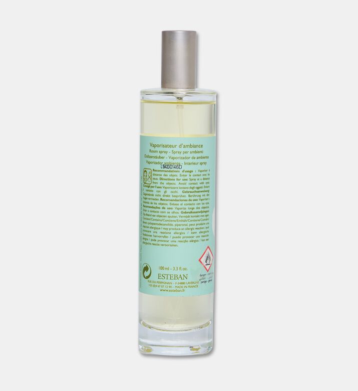 Esteban Paris Spray Room100 Ml Orch Blc, Packshot View