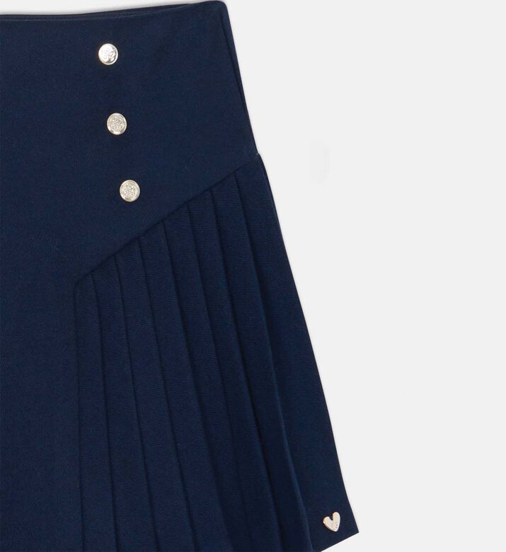 Side Pleats Flared Skirt