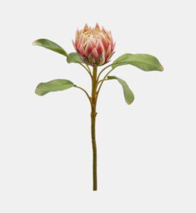 Edg Protea Duke Ramo Faux Stem, Pink, Packshot View