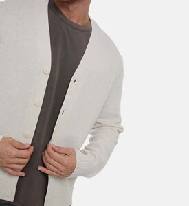 Samsoe Card Sapatrik, Model View