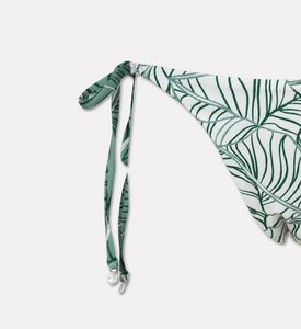 Palmacea Luna Printed Bikini Bottom, Packshot View