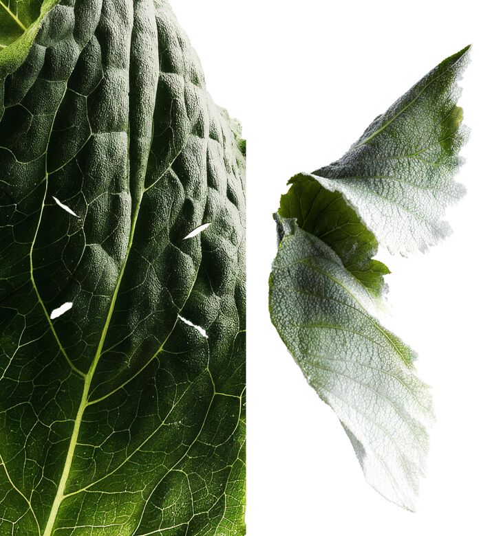 Maison Margiela Fit Of Folly Eau De Parfum, 75-ml, Packshot View