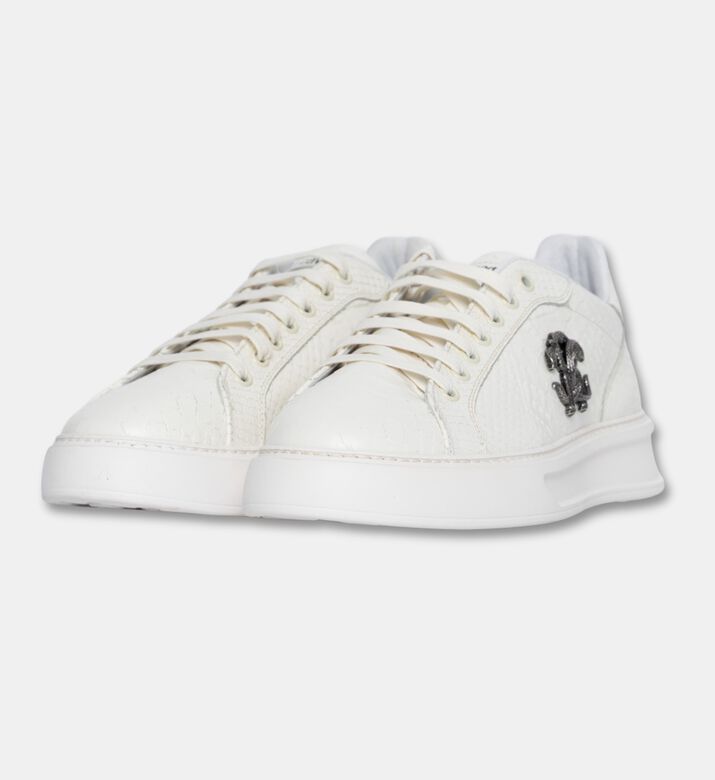 Roberto Cavalli Sports Shoes, Packshot View