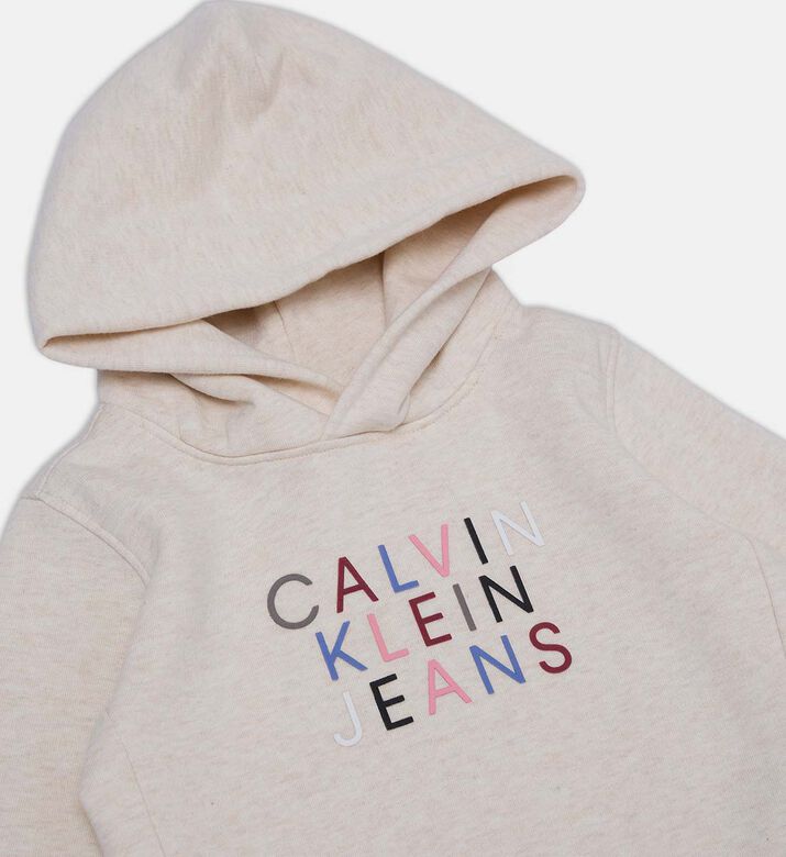 Color Logo Fleece Hooded Sweatshirt