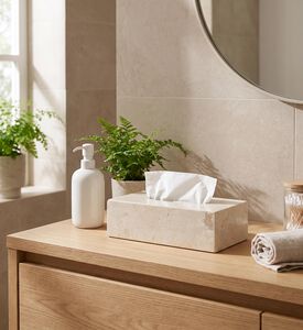 Aquanova Luxor Large Stone Tissue Holder, Model View