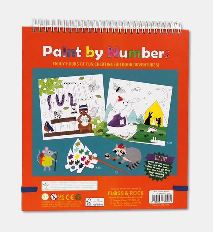 Floss and Rock Adventure Paint By Numbers, Packshot View