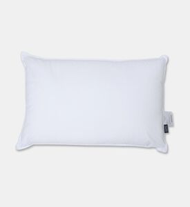 Home Deco and More Ted Soft Touch Pillow S2, Packshot View