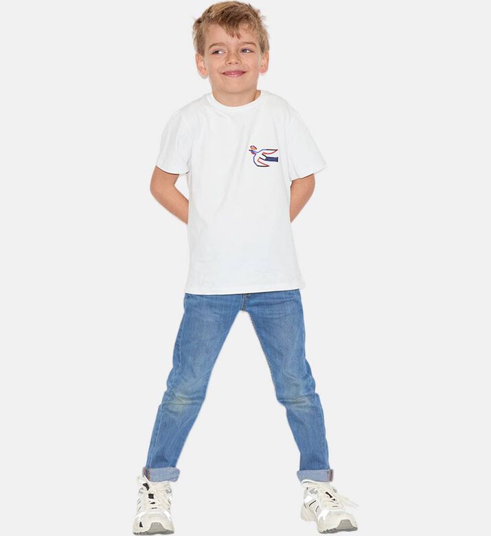 World of Pop Ts Bird Protect, Model View
