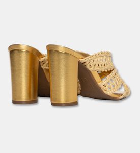 Arezzo Shoes Sabot, Packshot View