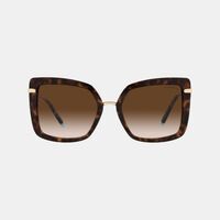 Square Tortoiseshell Pattern Sunglasses 54