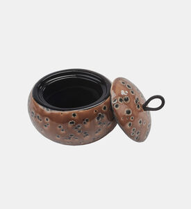 صندوق جمال أوغو كاميل