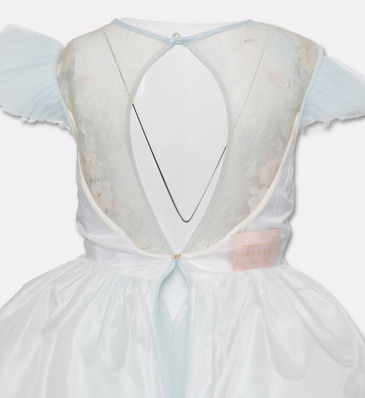 Lelyte Floral-embroidery Sheer Lace Dress, Packshot View