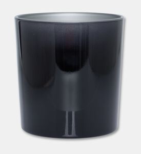Esteban Paris Cndl Vanille D Or, Packshot View