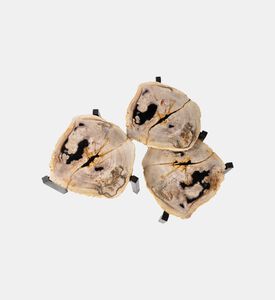 مجموعة طاولة القهوة من الخشب الصلب المتحجر