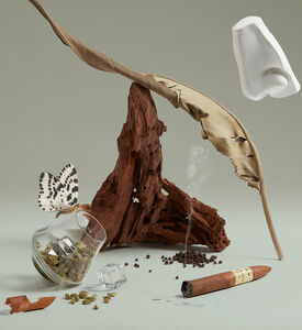 عطر Zen Gold Elixir Eau de Parfum