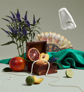 Empressa Body Lotion 500 Ml