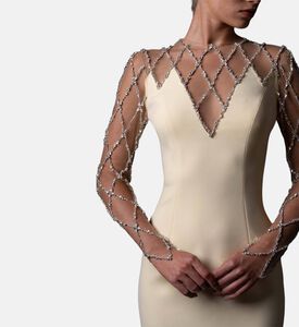 Jean Louis Sabaji Crystal-embellished Long-sleeve Gown, Model View