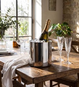 Mepra Stainless Steel Wine Bucket, Model View