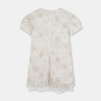 Floral Guipure Lace Dress
