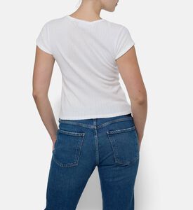 Maison Labiche Ts, Model View
