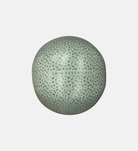 كرة شاطئ ليوبارد