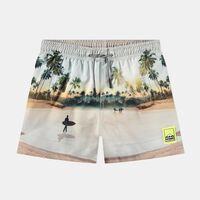 Niko Island Surf Swim Shorts