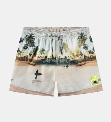 Niko Island Surf Swim Shorts