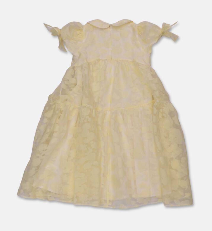 Eirene Dress Organza, Packshot View