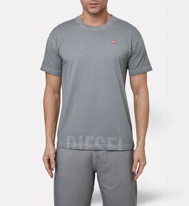 Diesel Ts, Model View