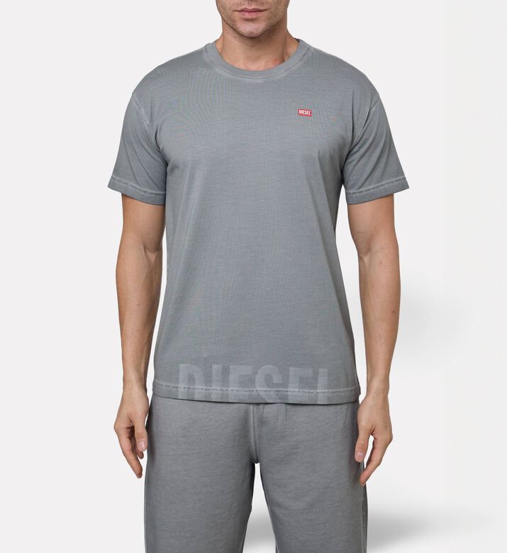 Diesel Ts, Model View