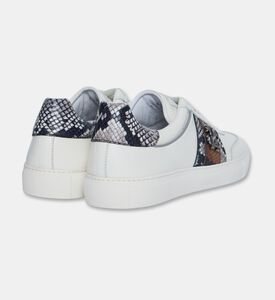 Roberto Cavalli Shoes Sport Calf Tresor Snk, Packshot View