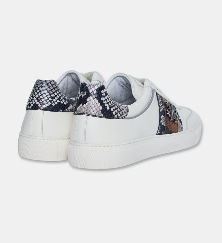 Roberto Cavalli Shoes Sport Calf Tresor Snk, Packshot View