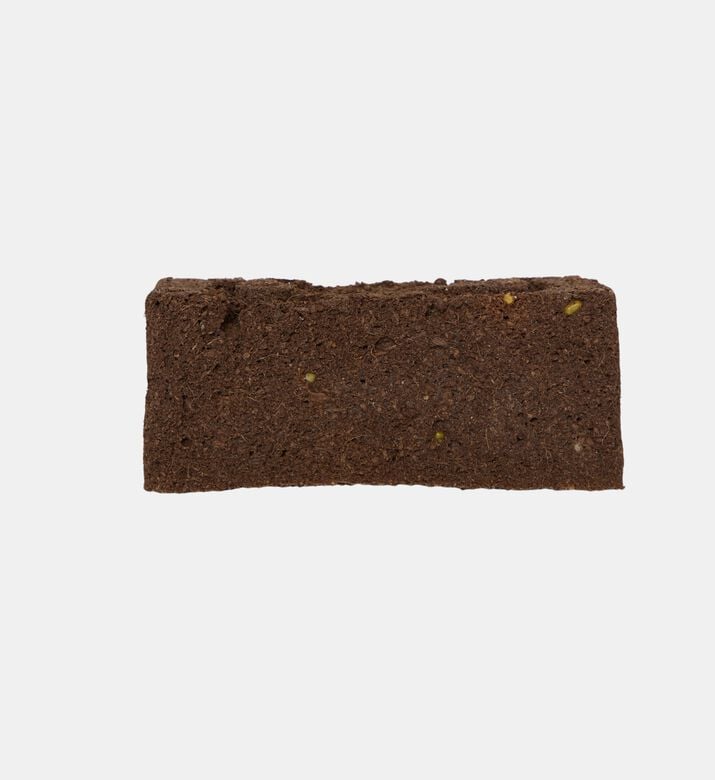 Lingot Multi Colored Pansy