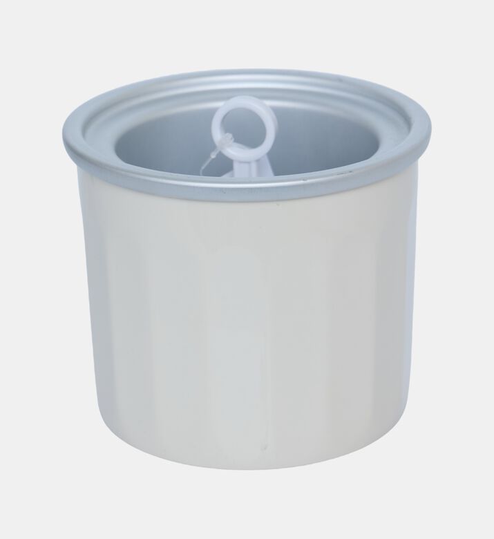 Multi-purpose Ice Cream Container