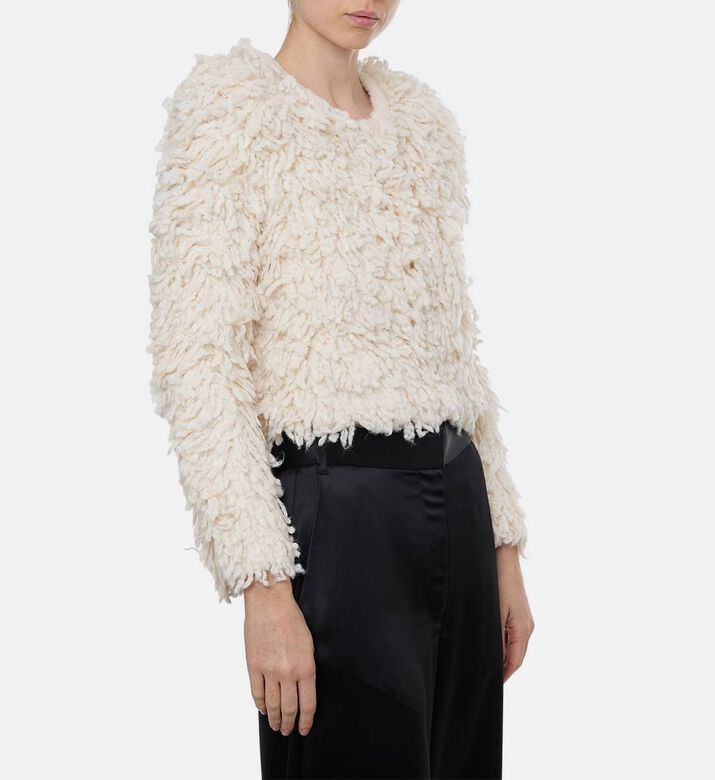Isabel Marant Fedra Fuzzy Textured Jacket, Model View