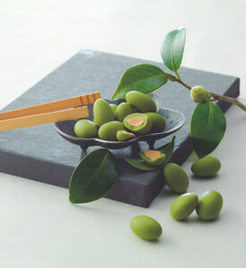 Matcha Almond Chocolate 28 G