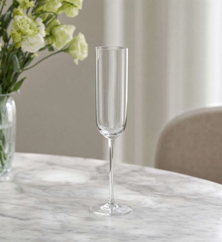 Blomus Champagne Flute Glass 4-piece Set, Grey, Model View