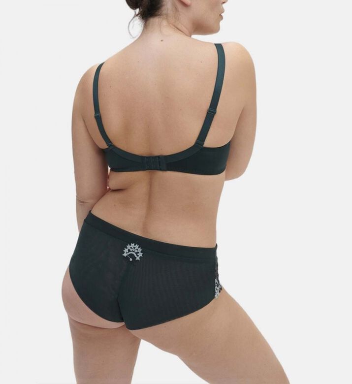 Wish Full-cup Plunge Triangle Bra