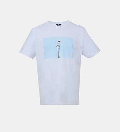 Photographic Palm Tree Printed T-shirt