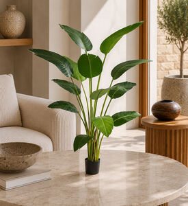 Edg Chic Strelitzia Pot - 180cm, Packshot View